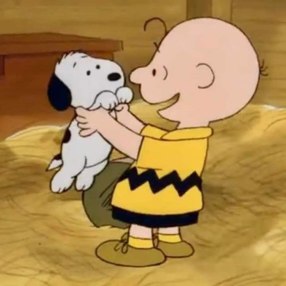 lottiesnoopy's tweet photo. happy birthday to my close and personal friend snoopy https://t.co/OprBS1j99j