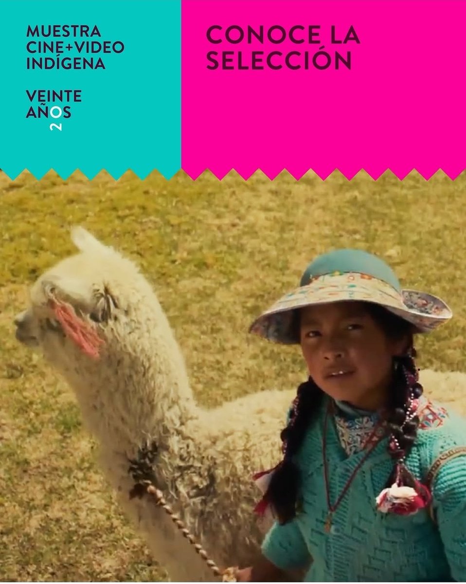 cineindigena's tweet photo. 33 piezas audiovisuales  fueron seleccionadas para ser exhibidas  durante octubre y noviembre en la 20°Muestra Cine +Video Indígena 
Felicitaciones a las y los seleccionados 2026 https://t.co/bF9g2PtNNI https://t.co/sxNtTEzAFo