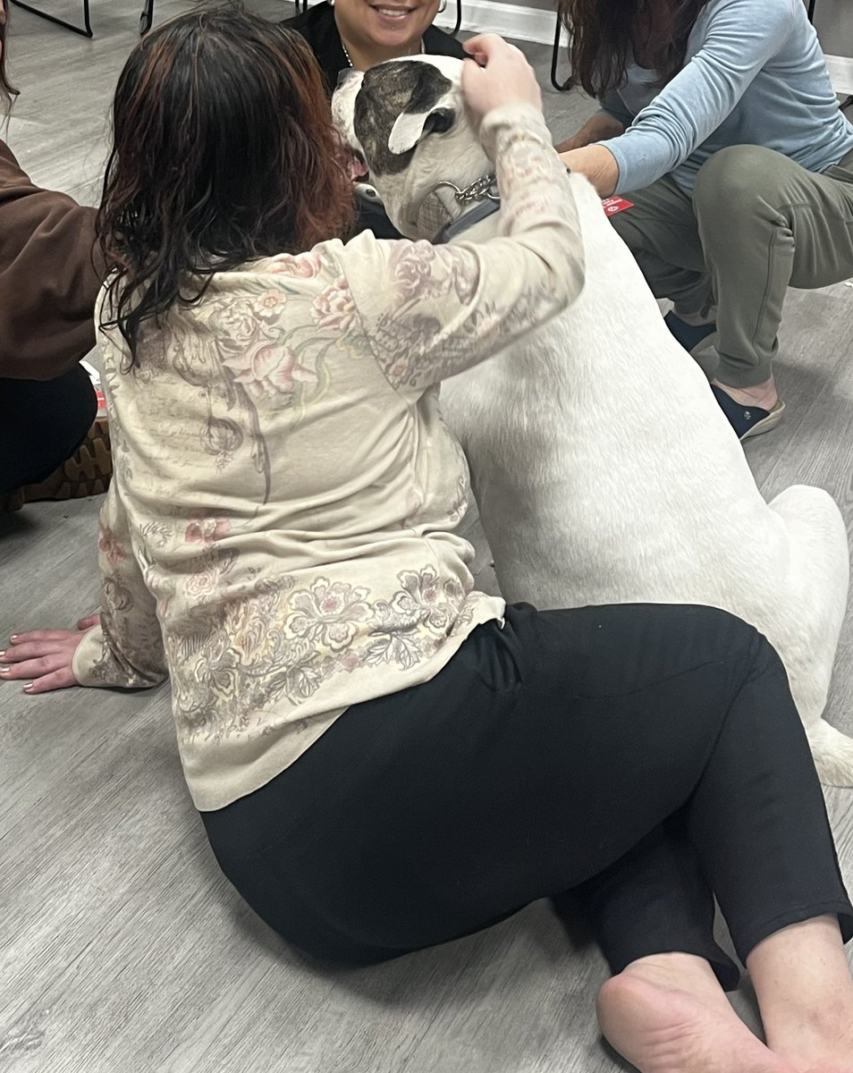 HVPaws4Cause's tweet photo. 🐶💕 Mayhem made a very important stop at the Resource Recovery Center in Middletown, NY 🐾 Her job? Hand out smiles, collect cuddles and make sure everyone got their dose of her diva love! 🥰🐾💕 @rrcooc 
#PetTherapy #TherapyDogs #HVPaws4Cause #DeStress https://t.co/ODQlIVbx5M