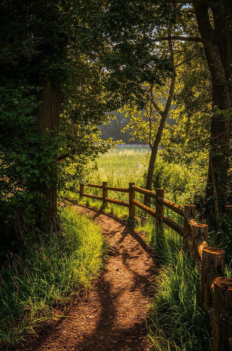 philocaaalist's tweet photo. Pathway to Golden Peace 🌿☀️ https://t.co/AlEqhMQHD7