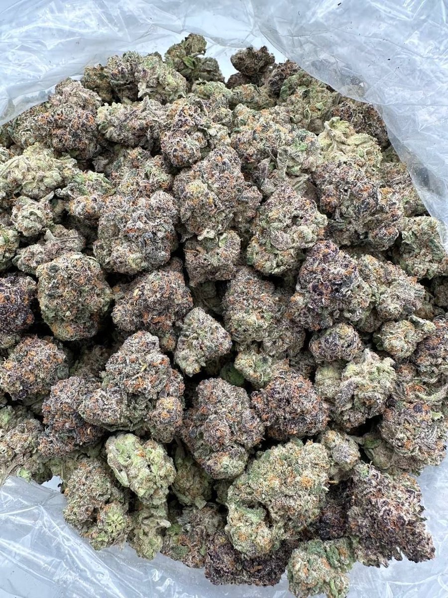 TwistedTrees_'s tweet photo. Houston
Downtown Houston weed, Midtown Houston weed, Montrose weed, The Heights weed, River Oaks weed, Museum District weed, EaDo weed, West University weed, Memorial weed, Bellaire weed, Spring Branch weed,
Greenway Plaza weed. https://t.co/rHolmhJbuH