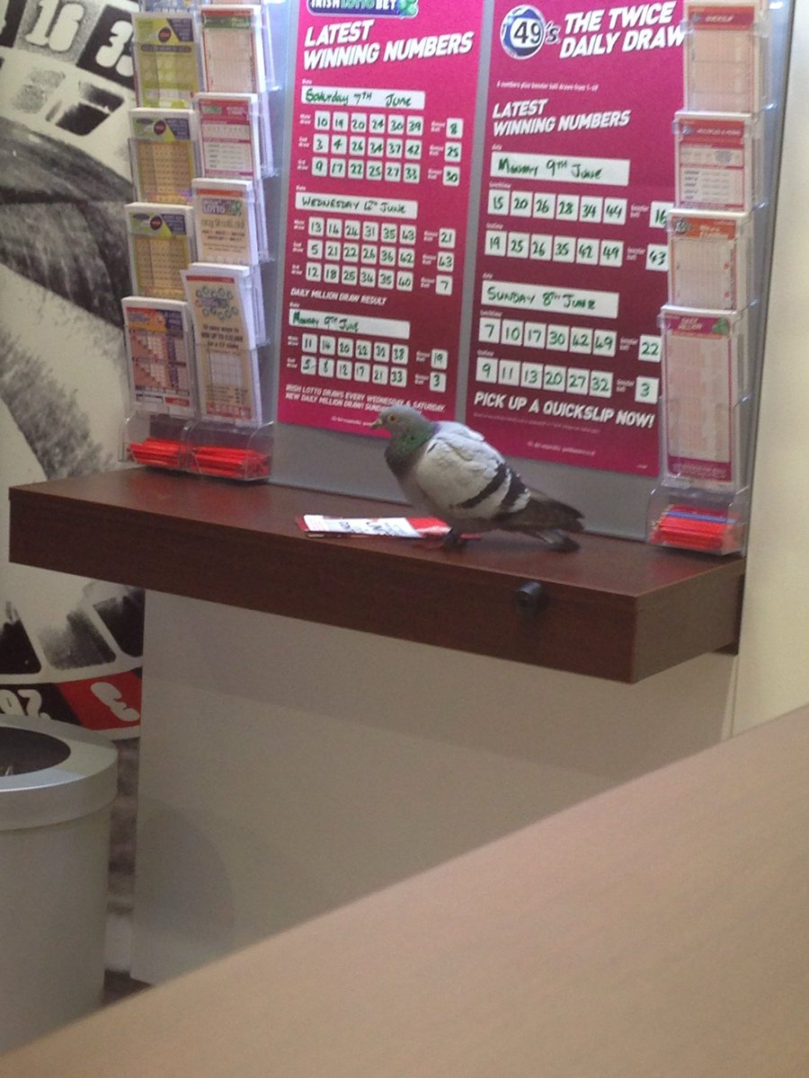 DeanWoodward's tweet photo. Ladbrokes completely irresponsible allowing this to happen.

This bird just lost her life savings gambling when she’s registered with both GAMSTOP and GAMBAN.

Shes devastated. Do the right thing and refund her. https://t.co/ZgEYEuFkdC