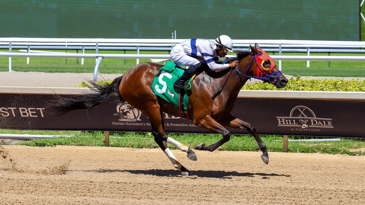 GulfstreamPark's tweet photo. Hello Poochy Lou pulls away in the final stretch to take race 7, @PedroPenaJockey in the irons for trainer Herbert Miller, owner Gabriel Duignan and breeder Carrie McCarthy. #GulfstreamPark #RoyalPalmMeet https://t.co/dnlzP3ouv5