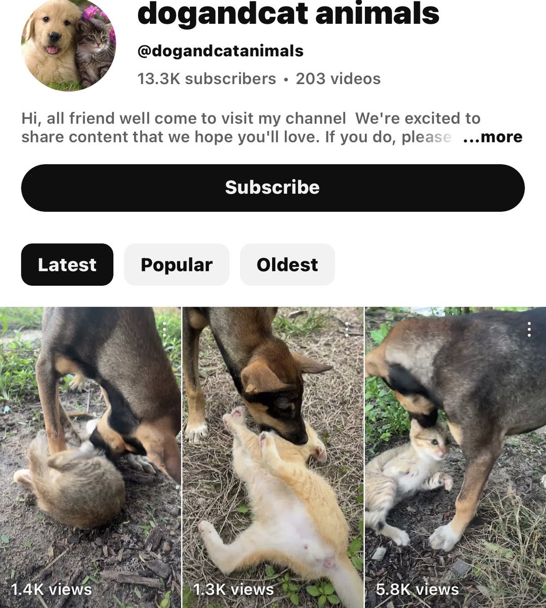 MPYOfficialX's tweet photo. @TeamYouTube ban them and also PUT them in jail irl https://t.co/eq333yfrAL