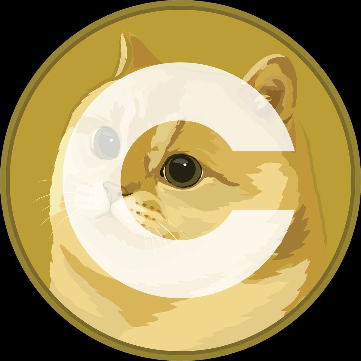 SvoCrypto's tweet photo. Money rotating to the only $CATE that is supported by the org that saved $DOGE in 2008 and brought her to a shelter

I am talking about @CATEmemecoin 

When Binance picks, they go for organic

500 SOL donated 🙀 https://t.co/q7h2rYVTg9