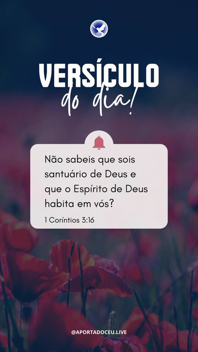 NdiaSilva114839's tweet photo. #MightyWorksOfGOD
O NOSSO CORPO É TEMPLO DO ESPIRITOS SANTO. https://t.co/tTcWnS01QI