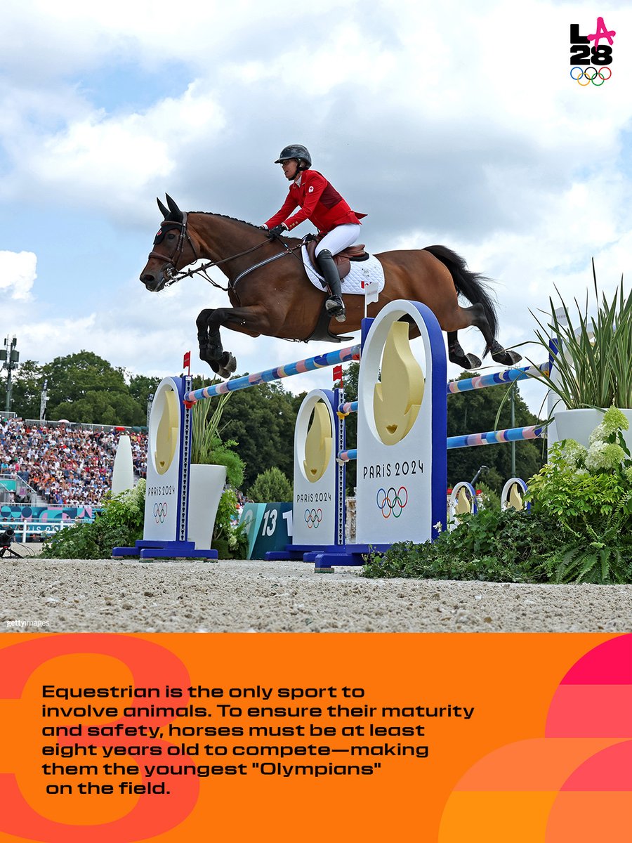 LA28's tweet photo. Saddle up 🏇

The @FEI_Global World Championships are officially begin this week! Ahead of the world’s best competing in LA, we’re looking back at Equestrian’s rich Olympic history. Swipe through to learn more about one of the oldest sports in the Olympic program. ➡️ 

If you currently have an active time slot to purchase tickets during Drop 2, look out for available* Equestrian sessions!

*Availability subject to change based on real-time demand. Tickets are sold on a first-come, first-served basis and are not guaranteed.