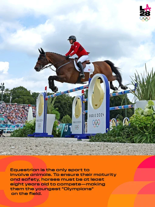 An equestrian wearing a red jacket gracefully guides her horse over a jump decorated with the Paris 2024 logo. Text at the bottom of the image reads: "Equestrian is the only sport to involve animals. To ensure their maturity and safety, horses must be at least eight years old to compete—making them the youngest 'Olympians' on the field."
