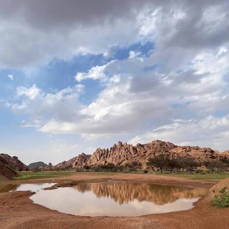 mdar_aljadi's tweet photo. رغم نشاط ظاهرة #النينو القوية إلا ان المؤشرات المناخية حتى الآن تشير إلى موسم بارد جدا وأمطار أقل من المعدل العام

شهر اكتوبر غالبا هو الأفضل مع بداية مبكرة في بعض المناطق

التوقعات الموسمية تُبنى على الكثير من العوامل ولا تعتمد عامل واحد فقط

والمزيد من التفاصيل لاحقا بإذن الله https://t.co/WXQNdAV5Ip