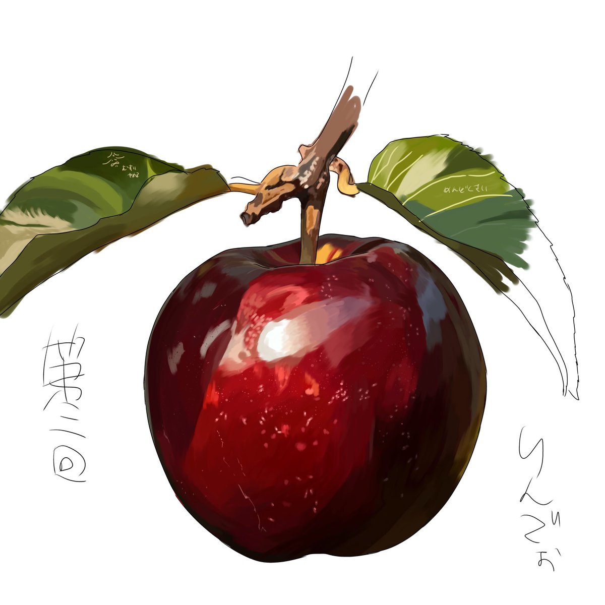amane_4019's tweet photo. リンゴォ https://t.co/4MNzKFHu3o