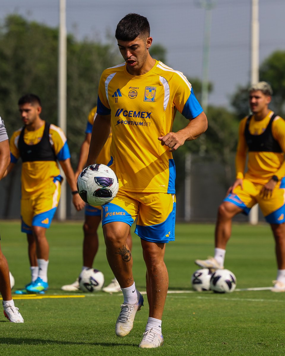 TigresOficial's tweet photo. 🔛💥 ¡Inició la semana con preparación de cara a nuestro partido de mañana en casa! https://t.co/0XTxvENyoU