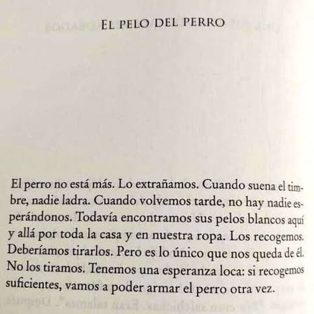 plantitarandom's tweet photo. @Agos_Bianco me veo en la obligación de compartir este poema de fb https://t.co/sSTBLbckNw