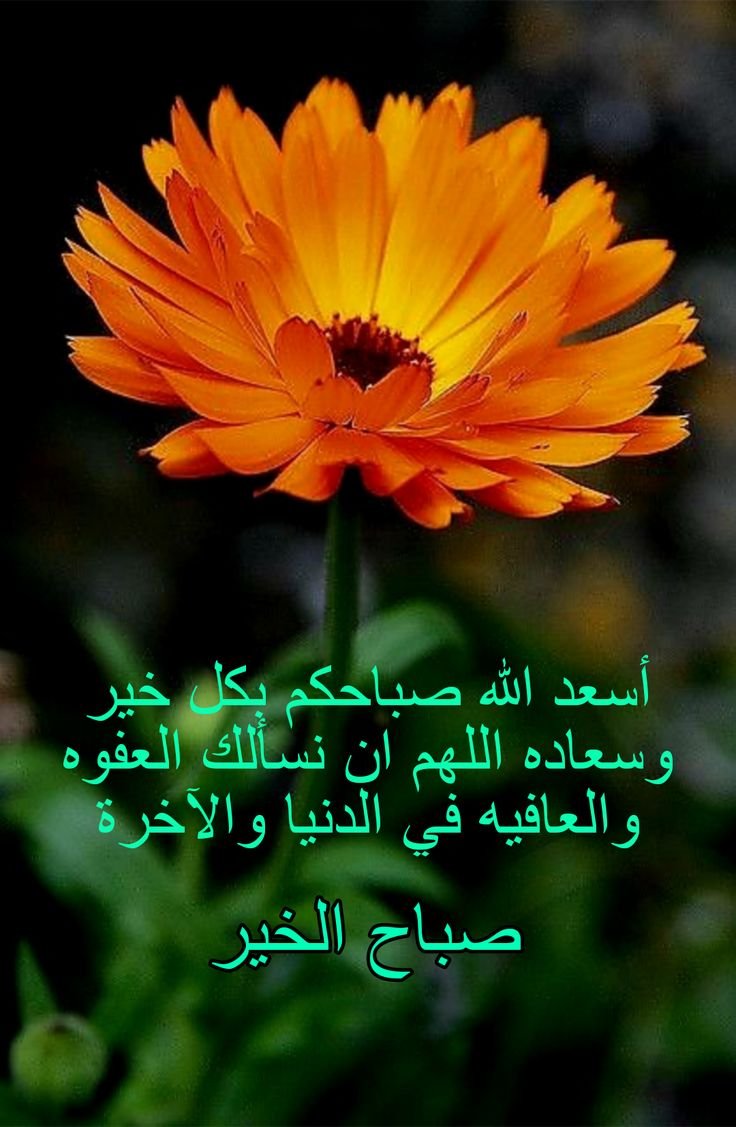 ZSaddoud's tweet photo. https://t.co/wFy1to0T6e