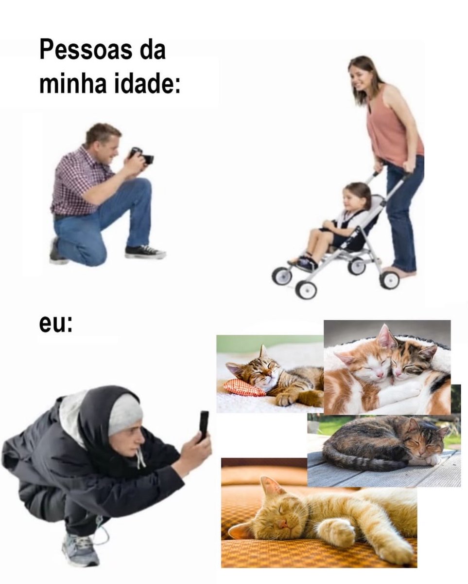 gatinarios's tweet photo. literalmente eu https://t.co/UYE86ruW7s