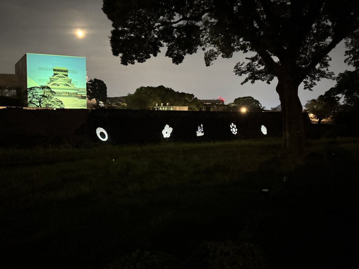 kumamoto_castle's tweet photo. 【熊本城フォトスポット巡り】
前回に続き、本日は熊本城二の丸広場からの景色をご紹介します。
二の丸広場からは、天守閣や宇土櫓の素屋根を一望することができます。また、夜間には熊本城にゆかりのある家紋がライトアップされ昼間とは違った景色で撮ることができます。
なお、今回の令和8年熊本地震による被害箇所の一部も二の丸広場より確認できます。

二の丸広場の散策と合わせて、加藤神社からの眺望もおすすめです。古くから熊本城ファンの間で親しまれているフォトスポットとして知られ、熊本城を綺麗に撮影することができます。ぜひ二の丸広場とあわせてお楽しみください。

お越しの際は交通状況や交通規制箇所をご確認のうえ、安全に十分ご注意いただきますようお願いいたします。
皆さまのご来園を心よりお待ちしております。