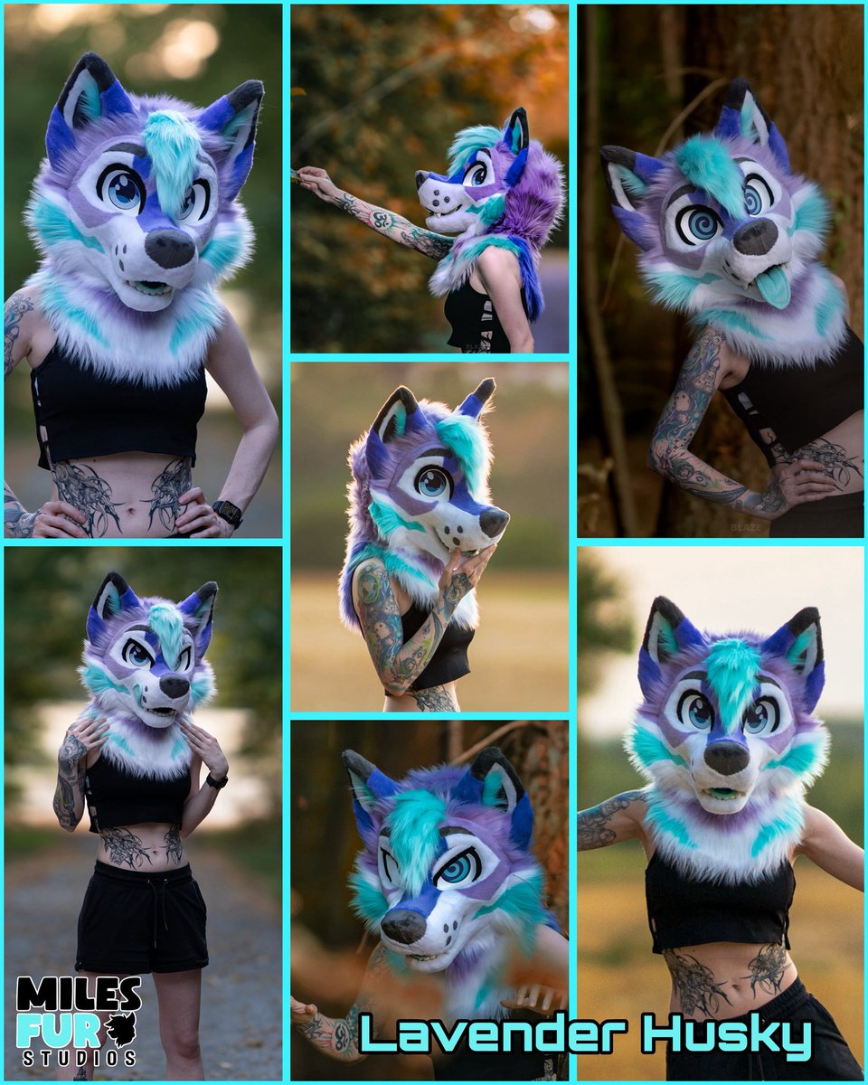 MilesFurStudios's tweet photo. Guess who’s finished? 👀 

Now someone just needs to take him home here: 

https://t.co/drvfIbZVrA https://t.co/Er2BZiSA4M