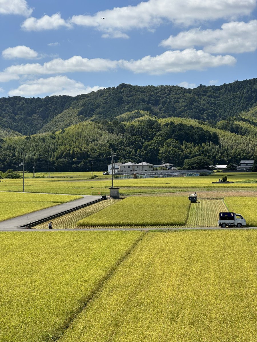 urayama10laps's tweet photo. おはよう8月11日🙌山の日🎌
稲刈りが始まった🌾 https://t.co/CTfRk59afO