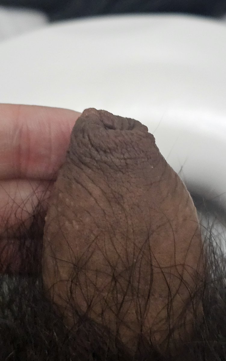 gay_SemenToilet's tweet photo. #ゲイ #gay #uncut #foreskin #チンカス #smegma #包皮垢 #sebo #cockcheese #ripedick #包茎 #dirtycock https://t.co/31mO2CMDDs