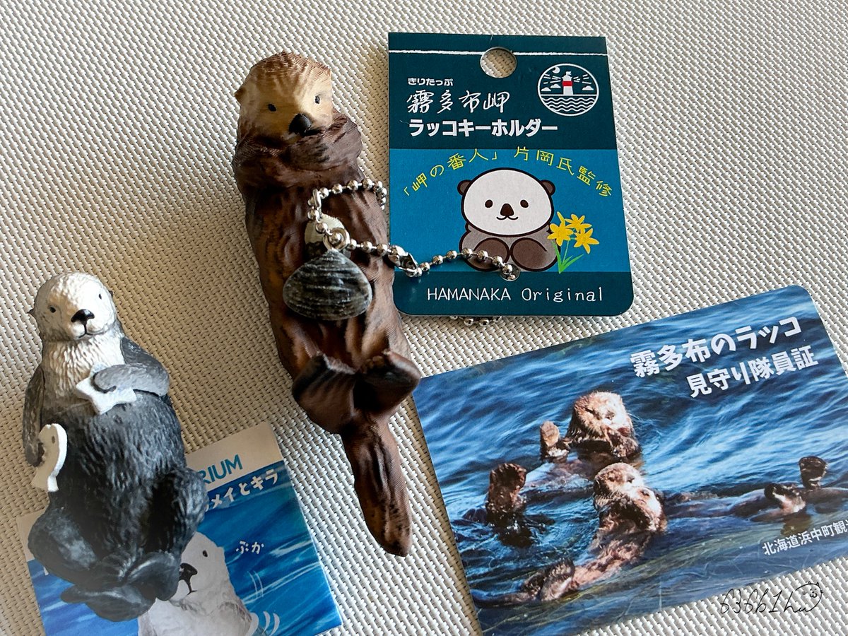 ベ*ル様 霧多布岬 ラッコキーホルダー 見守り隊員証 霧多布のラッコ