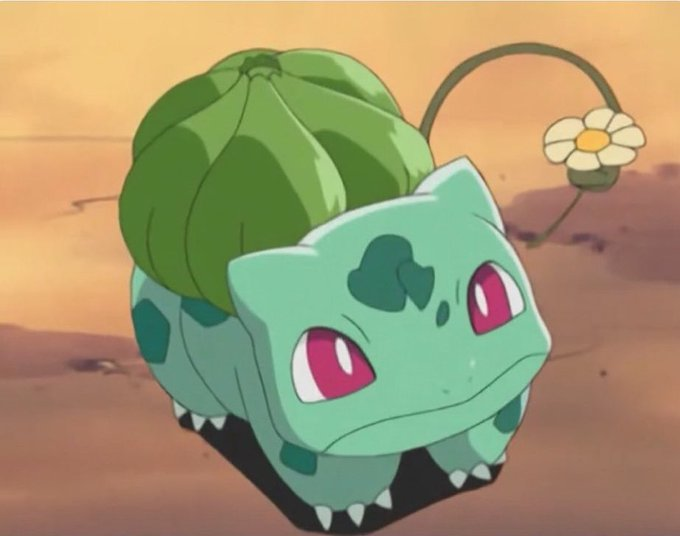 PkmnPosts's tweet photo. Bulbasaur brought you a flower https://t.co/TIR6Gtbs9C
