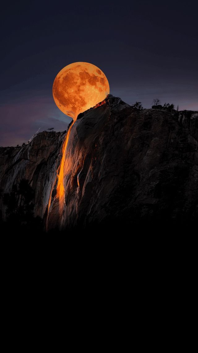 MoonL79480 tweet picture