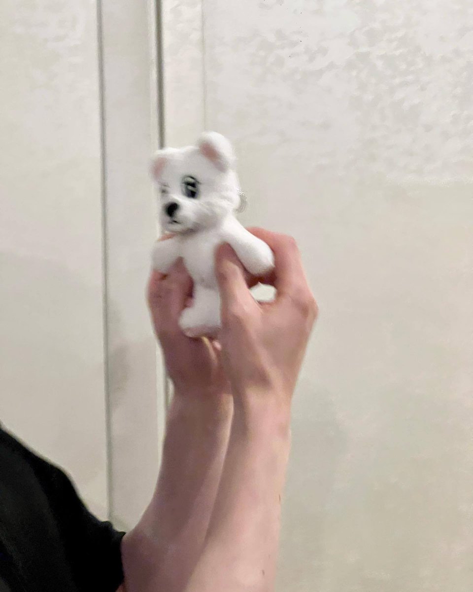 koii4ever's tweet photo. WTB wookdong plush keyring  please dm me if anyone wts it #ｲﾄﾞﾝｳｸ
ฉันต้องการซื้อพวงกุญแจตุ๊กตานี้ โปรดส่งข้อความถึงฉันโดยตรงหากมีใครต้องการขายมัน #neohee #WOOKDONG
이 인형 키체인을 구매하고 싶습니다. 판매하고 싶으신 분은 직접 저에게 메시지를 보내 주세요.#LeeDongWook #李棟旭 https://t.co/fPGn4DxUsD