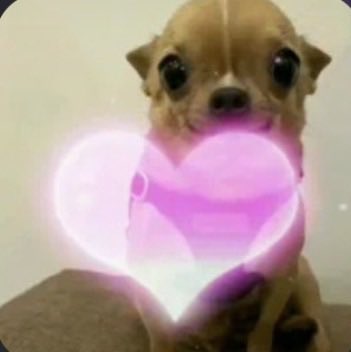 siimbolodepaz's tweet photo. asi me siento cuando me tratan lindo https://t.co/TD5T91Bmob