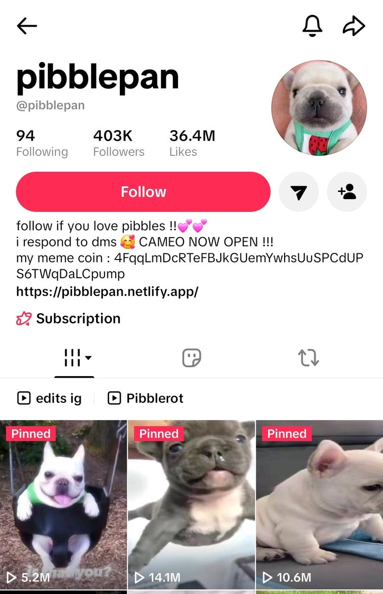AirborneAgentX1's tweet photo. @2577pink Real

Active

Growing

Volume Increasing

Viral Identity  - Frenchie Pibble - most popular dog 

Consistent Team and Creator

$PIBBLE 
@pibblepanpan https://t.co/fCgrUGn165