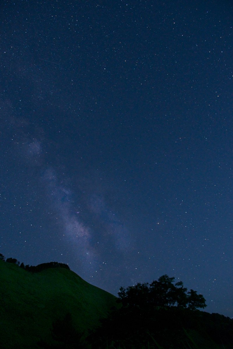 those_in_asylum's tweet photo. 初めて天の川が撮れた！
と喜んだのも束の間、数枚撮ったらシャッター切った瞬間フリーズ。書き込み状態のままプレビューもモード切替もできずに30分で無念の撤退…😭
一晩明けたら何事もなかったかのように動いてるし、一体何だったんだろ…？🤔
#曽爾高原 #奈良 #星景写真 https://t.co/osYed2iCtl
