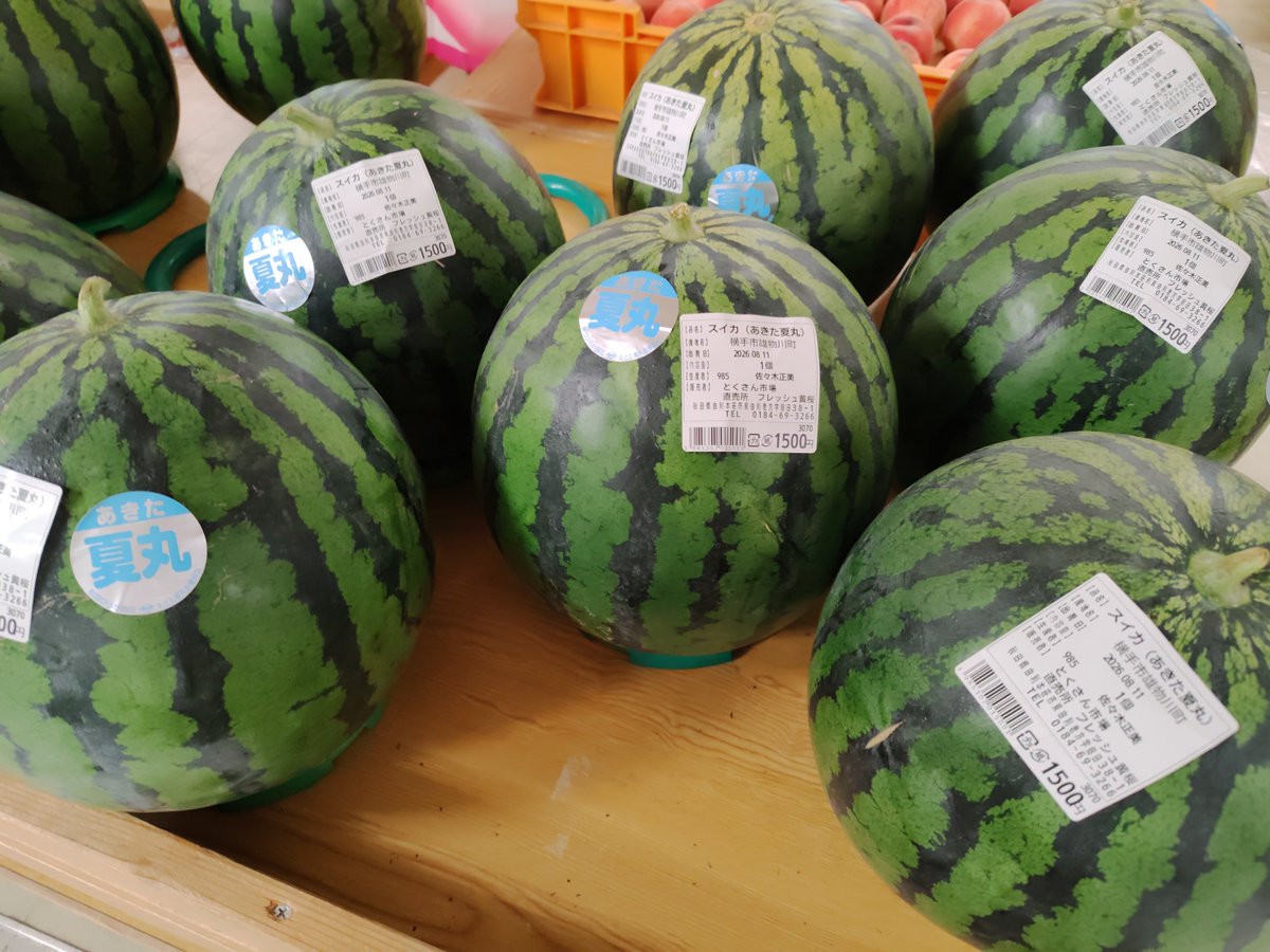 pressomall's tweet photo. 増田産🍑桃『まどか』入荷しました！
東由利産メロン🍈も、雄物川産スイカ🍉もたくさん並びました！！ https://t.co/xSVgbqX2rE