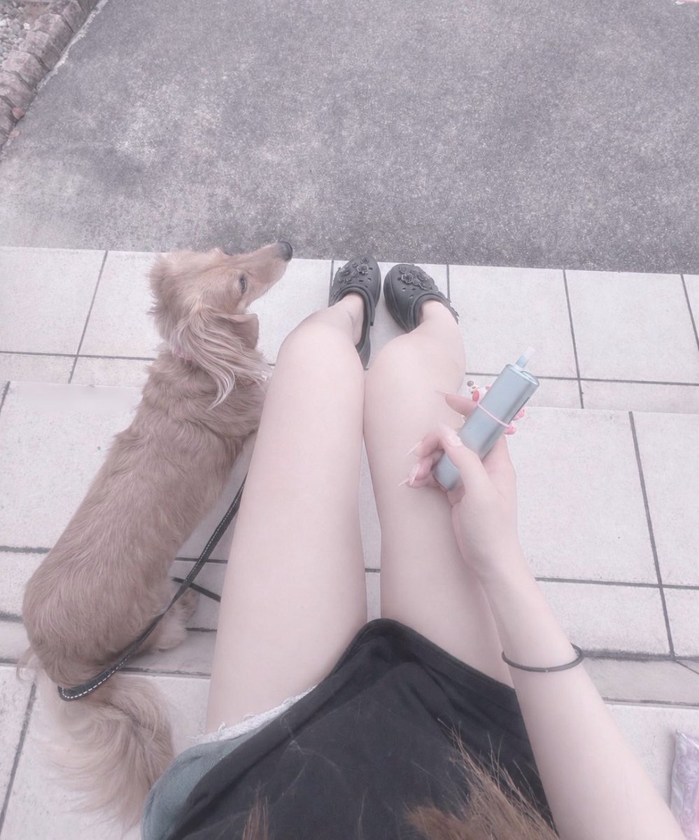 nyanrmt's tweet photo. 動物看護師のたまごのわたしがぜったい長生きさせる https://t.co/JOOkEWbgr0