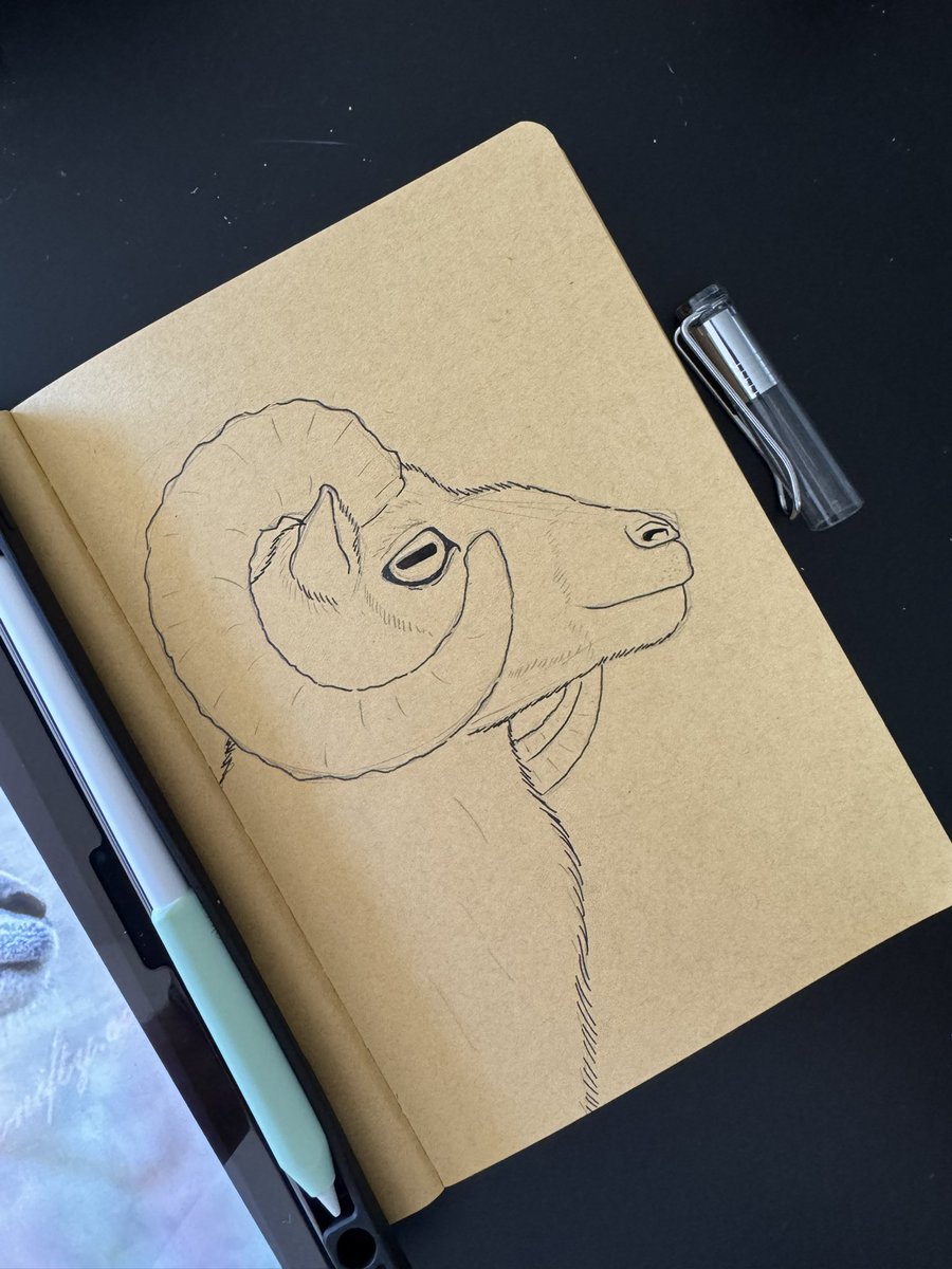 EliudDelgado's tweet photo. Late night sketch of an European mouflon. 
#lamy #illustrationㅤ #sketchbook https://t.co/JyyHGwjaw7