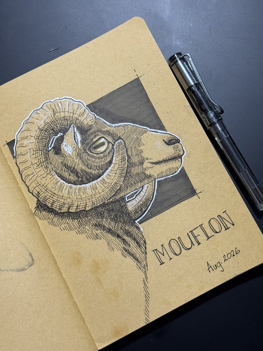 EliudDelgado's tweet photo. Late night sketch of an European mouflon. 
#lamy #illustrationㅤ #sketchbook https://t.co/JyyHGwjaw7