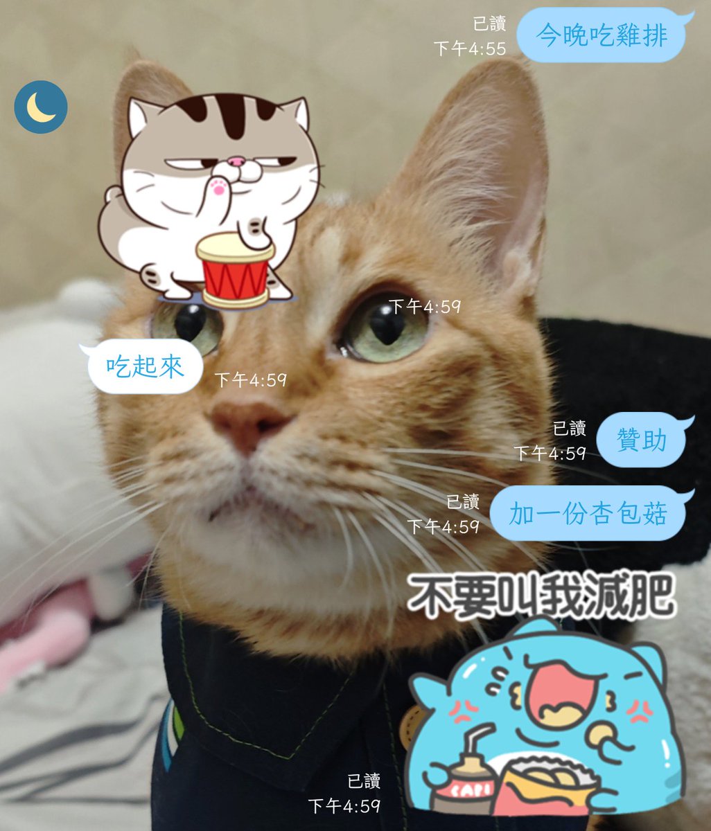 wyt510220's tweet photo. 前陣子超愛吃雞排
然後我隨口一說叫男友贊助
他還真的給我200˃͈◡˂͈
推一個厚野雞排
好吃吃吃！！！ https://t.co/ZTBzTB5wwG