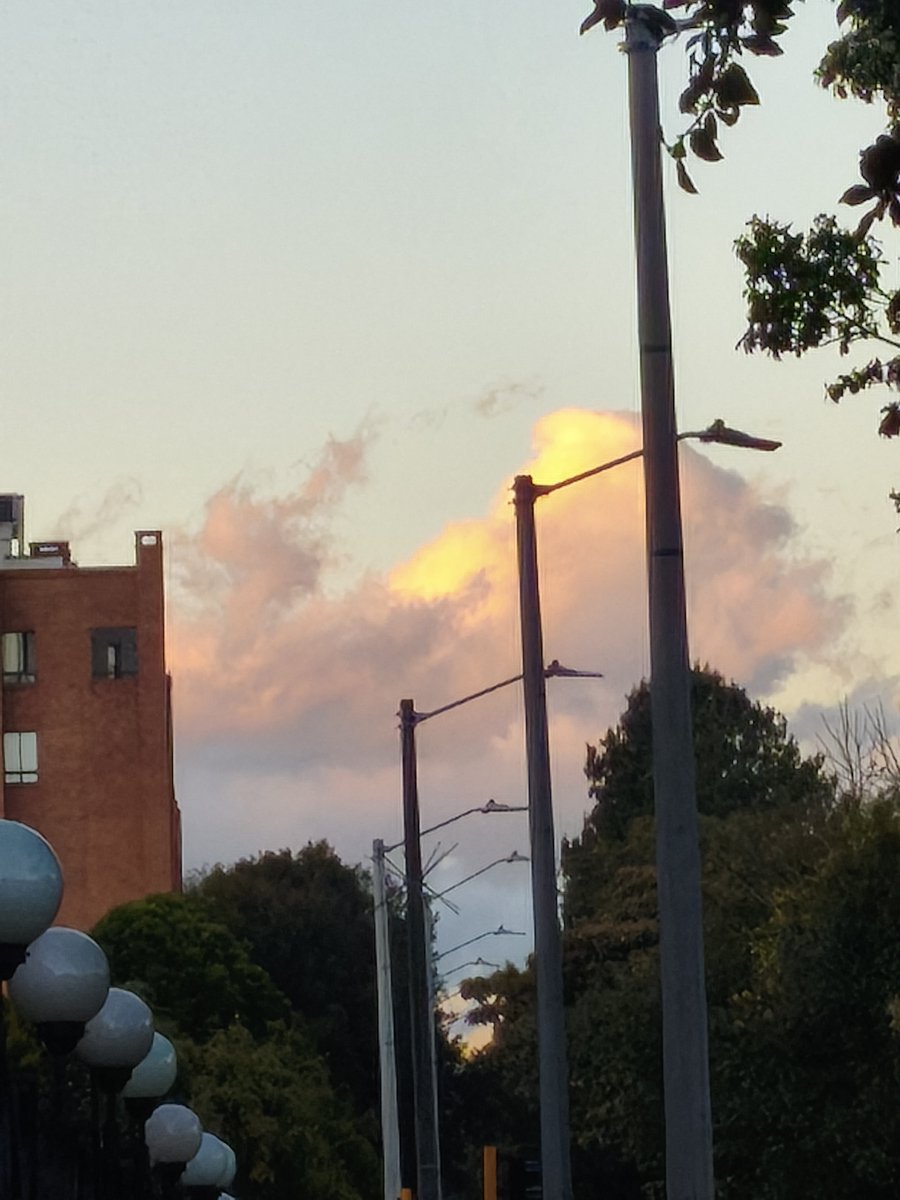 Andylikesburger's tweet photo. Nubes doradas
Baños de oro reciben en la mañana, rocios dorados que las dotan, baños de madrugada. A estos rayos de oro que tocan mi piel. Insignificante existencia frente a la magnificencia. Gloriosa nube de dorada. https://t.co/btcXkpZhNk