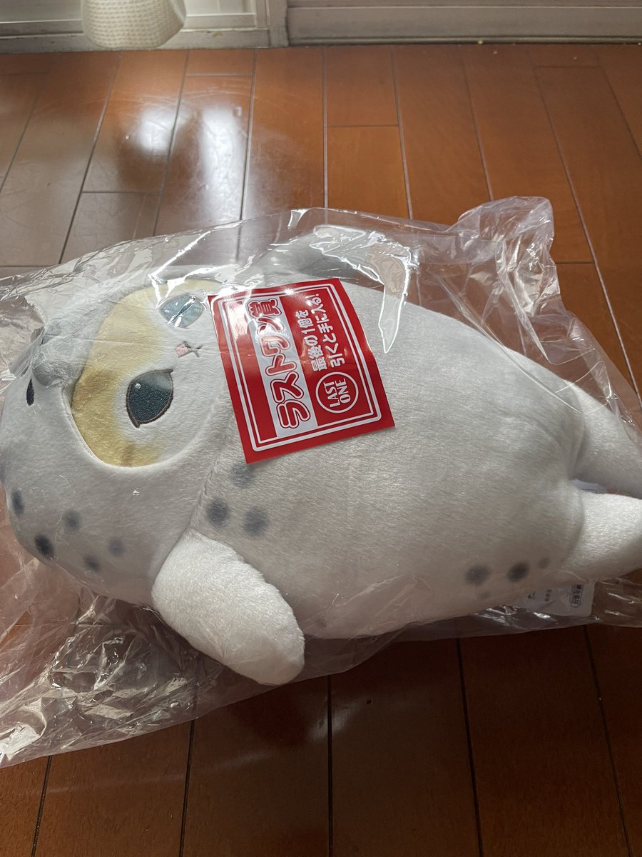 tkawa09's tweet photo. 別ショットも https://t.co/QmIqf4Djvp
