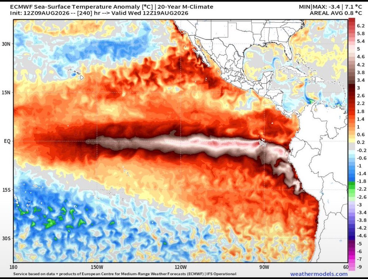EdoWeatherman's tweet photo. Proyección próximas semanas y meses. El Niño seguirá intensificándose y sus efectos en Chile podrían empeorar.

SI nuestro país ya está sintiendo con fuerza los efectos de un fenómeno El Niño que no para de ganar fuerza, las cosas podrían complicarse más las próximas semanas.
El paso de la Oscilacion Madden Julian sobre el Pacífico y una Oscilación Antártica en territorio negativo, van a ser el complemento perfecto para que los efectos de El Niño golpeen con fuerza sectores del norte, centro y parte del sur de Chile. 
La situación que ocurrirá en la zona norte estos días, podría repetirse en los meses primaverales e incluso en verano, es decir eventos de lluvia con isoterma elevada, serían más recurrentes.
Por último, la influencia de El Niño podría prolongarse más allá del otoño 2027.

#ElNiño  
#Alerta. 
#Chile.