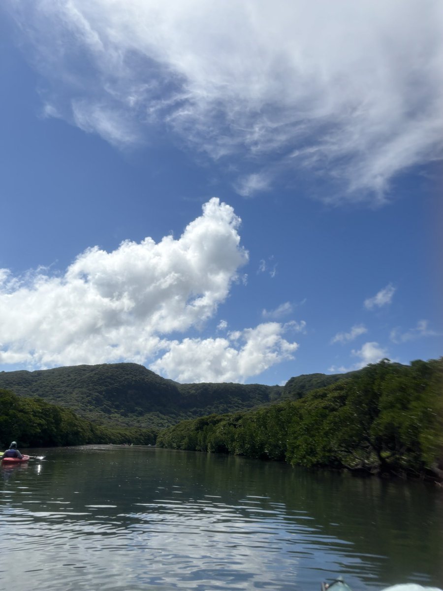 kanzakiuro's tweet photo. 石垣島と西表島行ってきました
初めて行ったけど沖縄とはまた違う雰囲気のとても良い場所でした。大自然と戯れた…楽しかったなぁ

帰ったら現実が待ってました https://t.co/sOWe21Unbv