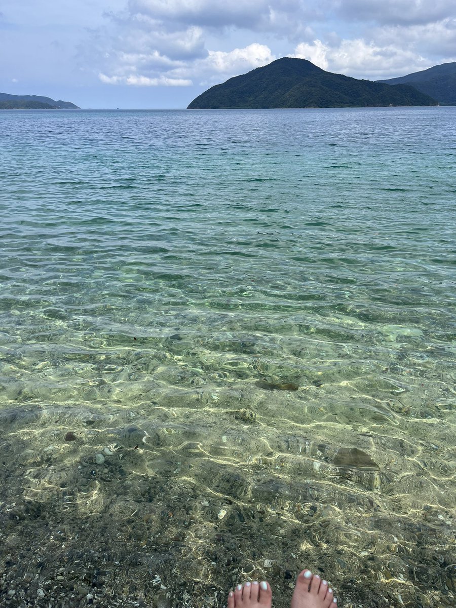 yuisaito's tweet photo. フジロックから奄美旅、最高の夏休みでした。
台風を抜けてまた台風、皆さまご安全に https://t.co/xZxfAydGah