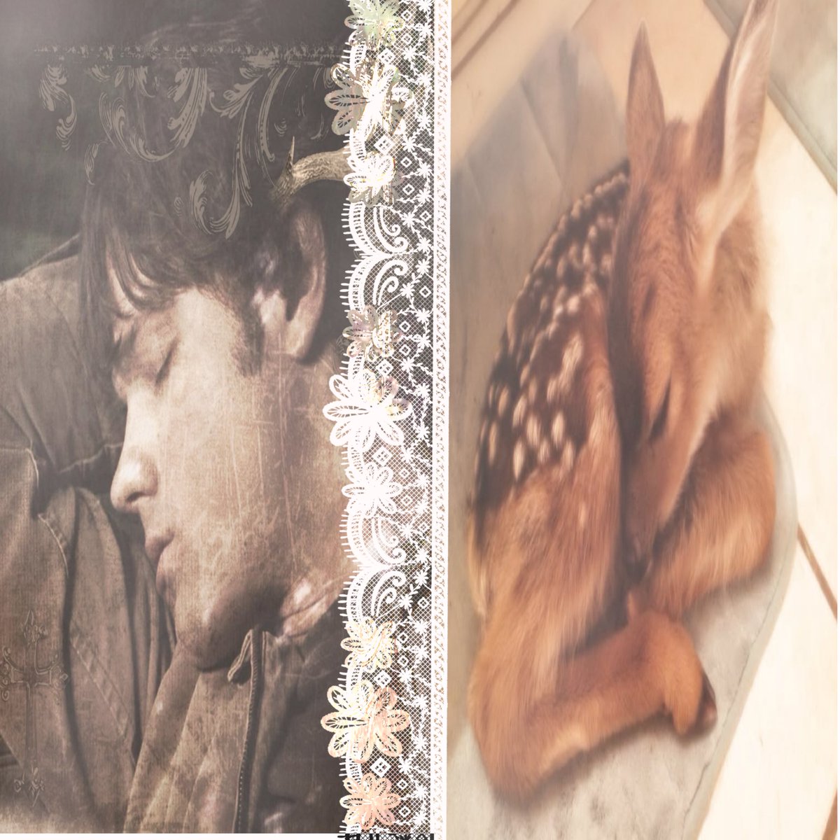 alice2pretty4u's tweet photo. i think u guys need another fandom is this https://t.co/hYDWdnVLbc