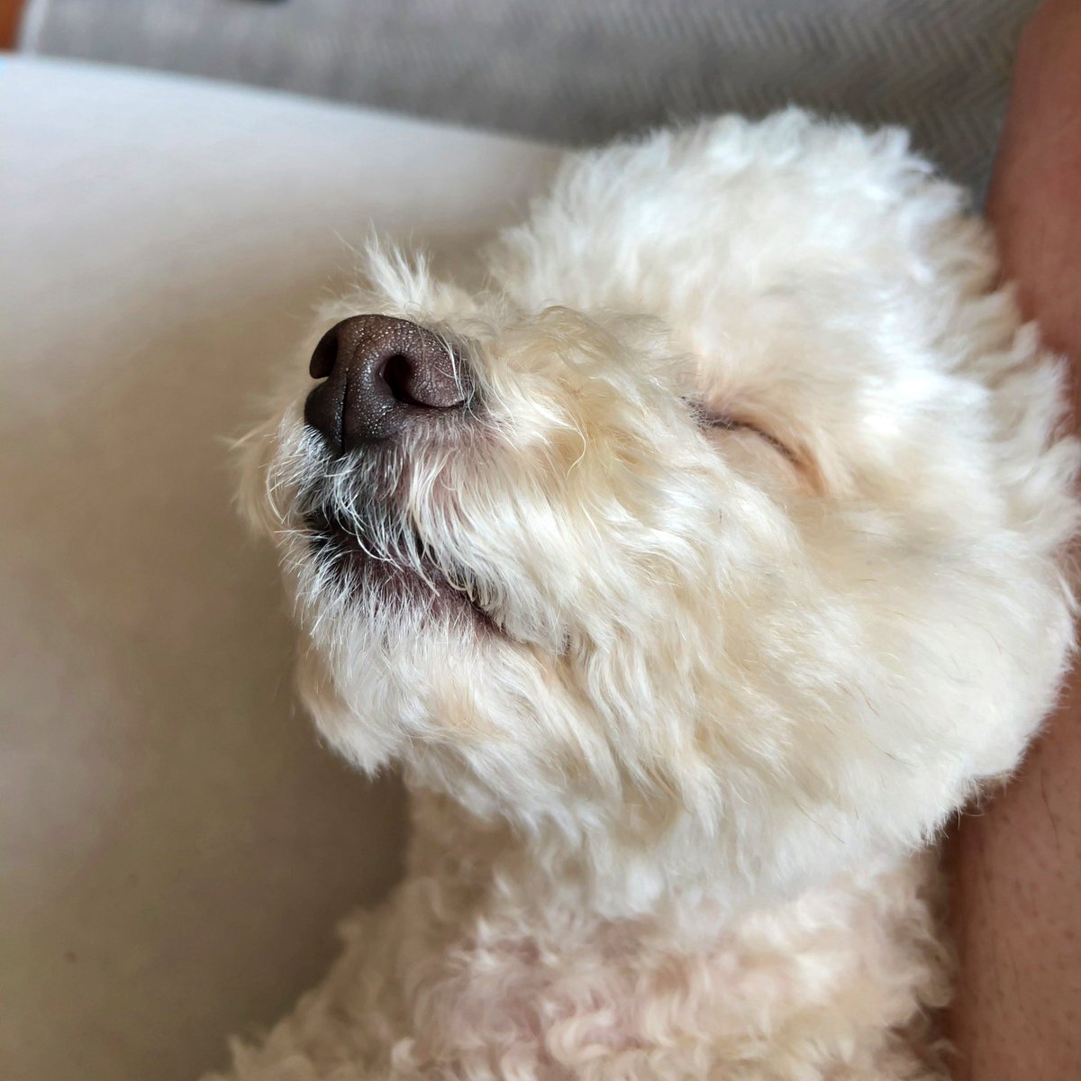 bondglove's tweet photo. 무슨 꿈을 꾸고 있니? https://t.co/4q1P8cUSPi