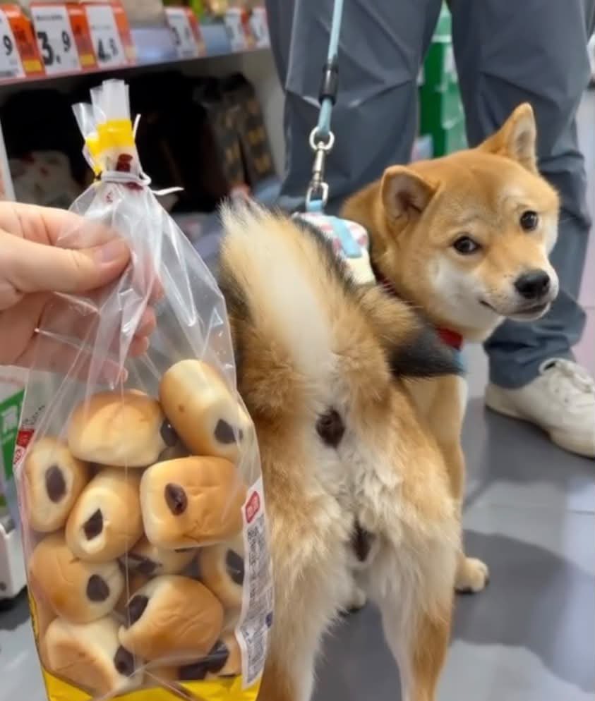 これ見たあと、このチョコパン食べられる人いる？🤣🤣私は無理www￼
