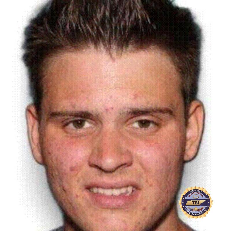 TBInvestigation's tweet photo. MORE: Michael Gross, the subject of an Endangered Young Adult Alert, was last seen wearing an olive-green shirt and gray athletic shorts.

Spot him? Call the Dickson County Sheriff’s Office at 615-446-8041 or TBI at 1-800-TBI-FIND!

2/X https://t.co/3ICMMjQkii