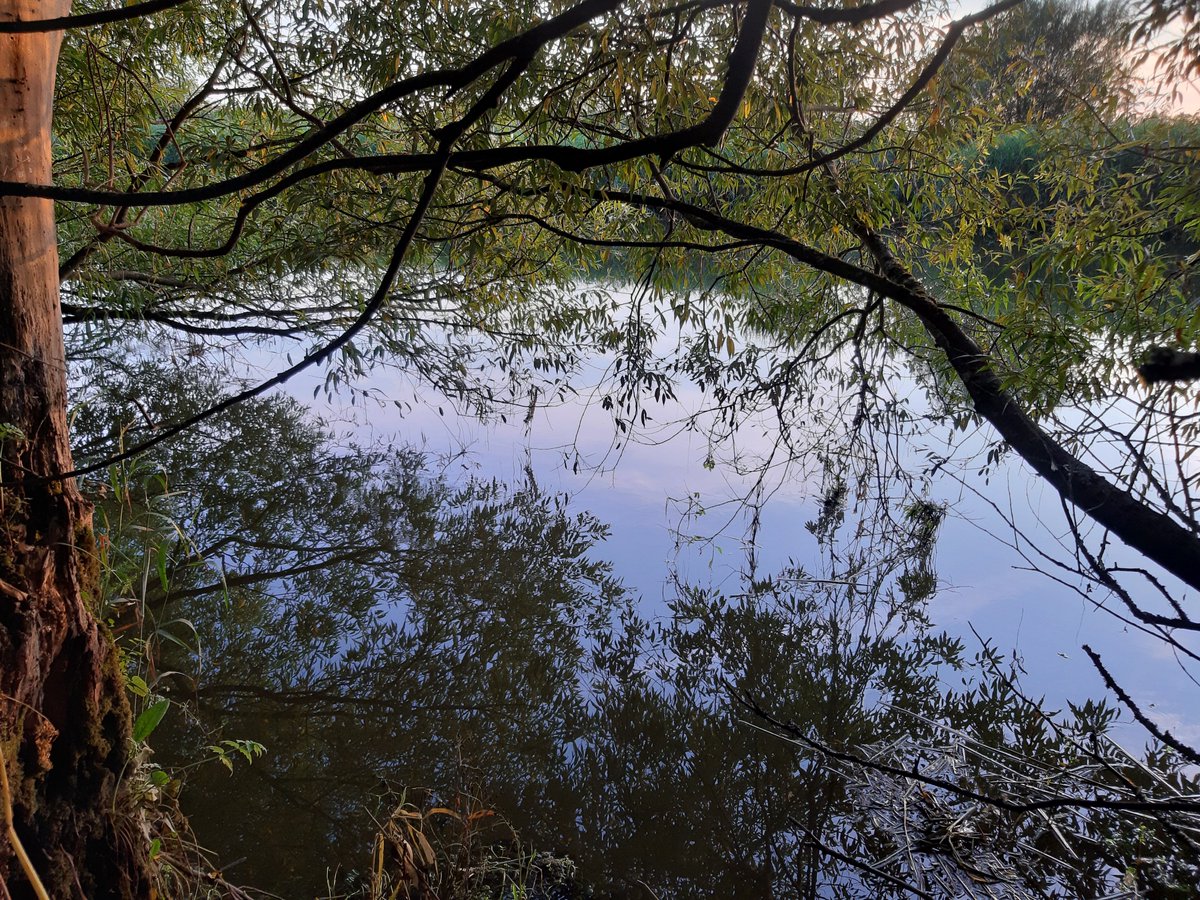 TrashedPicture's tweet photo. Dusk by the river! https://t.co/EU5eVtZLUO
