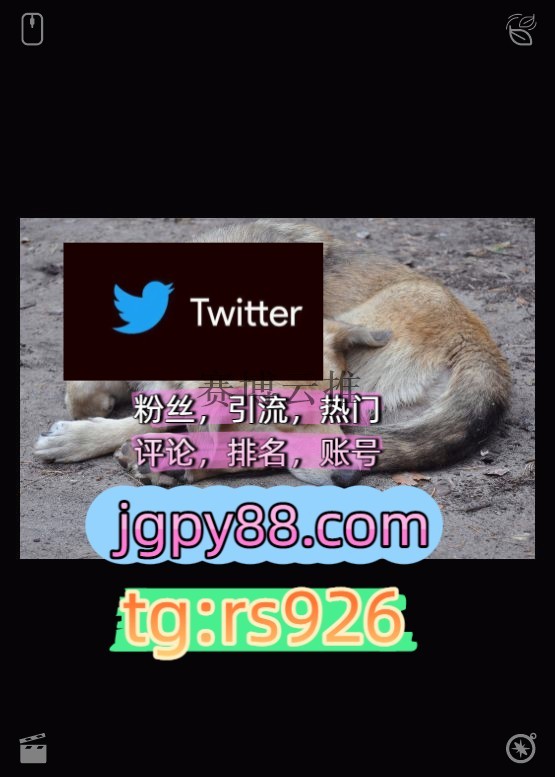 ir_y03's tweet photo. Respect life in all its true forms.
霸屏🪐群发私信💐海外获客🍀推特脚本外🎾facebook软件获客、海外推广、流量增长
代发推特账号粉丝号银川
热门号粉丝号围720410霸屏🪐群发私信💐海外获客🍀
推特账号杭1州、成1都、南1京、武1汉、重1庆、苏1州代发合肥   ✒客.服看→资.料
世界杯instagram⏰ https://t.co/wPa7XbYtxM