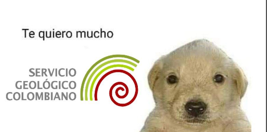 bfrankj_'s tweet photo. Recordar que @sgcol https://t.co/xeQioSwvU0