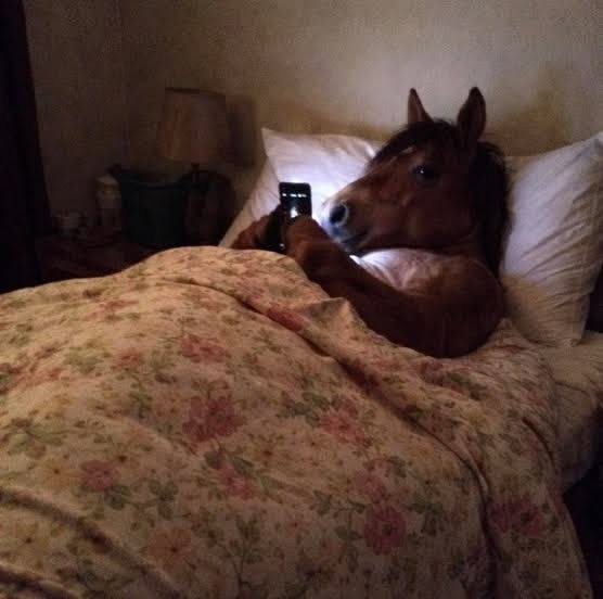 kykym__'s tweet photo. yo mirando Twitter antes de ir a dormir https://t.co/P3G2JDHcxw