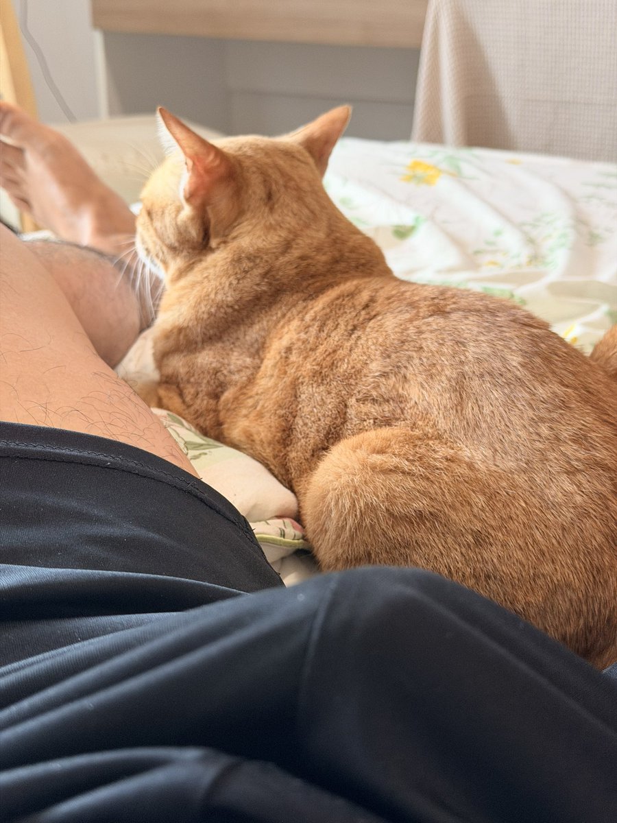 Bond42899's tweet photo. Day 4 for my ankle pain 🙂 https://t.co/hsZ2DKVXOi