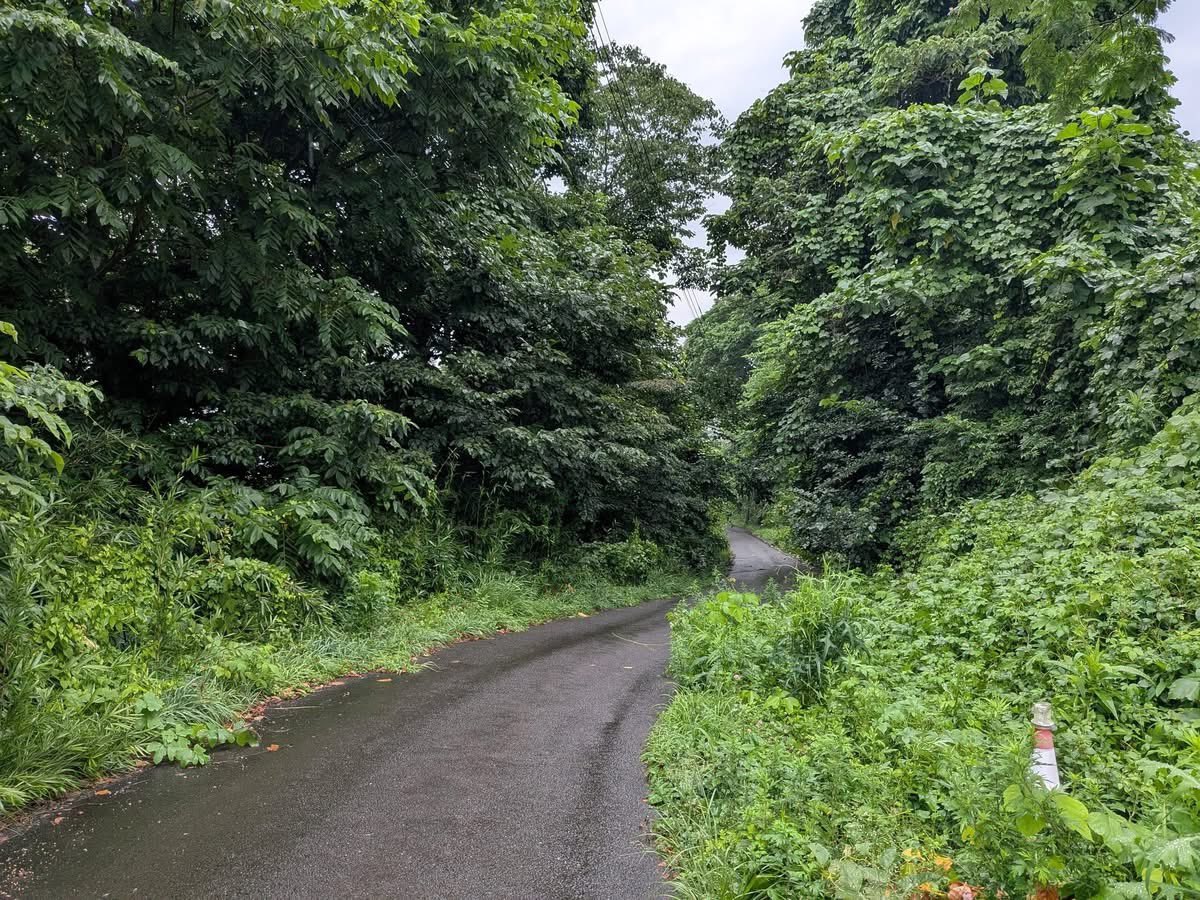 umetsuyosei's tweet photo. 蔵王2小の通学路に草木が生い茂り、最近は熊も近隣で発見されていることから、荒井拓也山形市議にお誘いいただき、約70名の皆さんと一緒に草木刈り作業。
全く見えなかった草木塔も見えるようになり、見通し良く明るくなった。
汗だくになって子ども達の安全確保を図ろうとする熱い思いの活動だった。 https://t.co/rjyBZM5xua