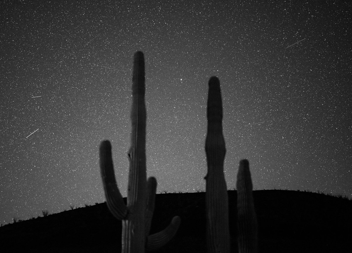 GGerardox2's tweet photo. Así más o menos es acampar en la Biosfera “el pinacate” y el gran desierto de Altar. 
SONORA🌵❤️ https://t.co/PtvCG7rIf3
